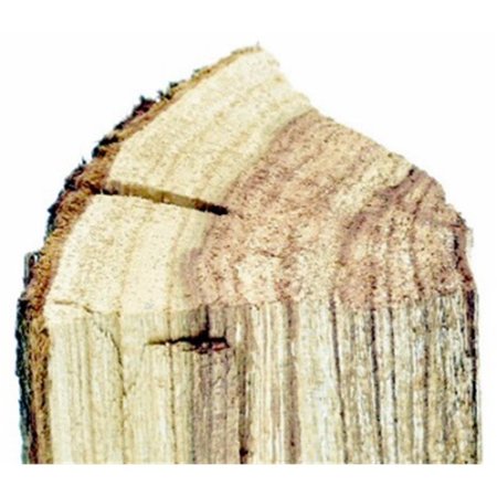 FONDO 5 lbs Almond Smoking Wood FO2668612